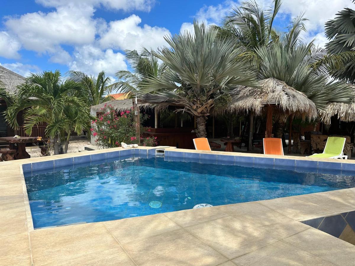 Studio - Begane Grond - Poolside Playa Eksteriør bilde